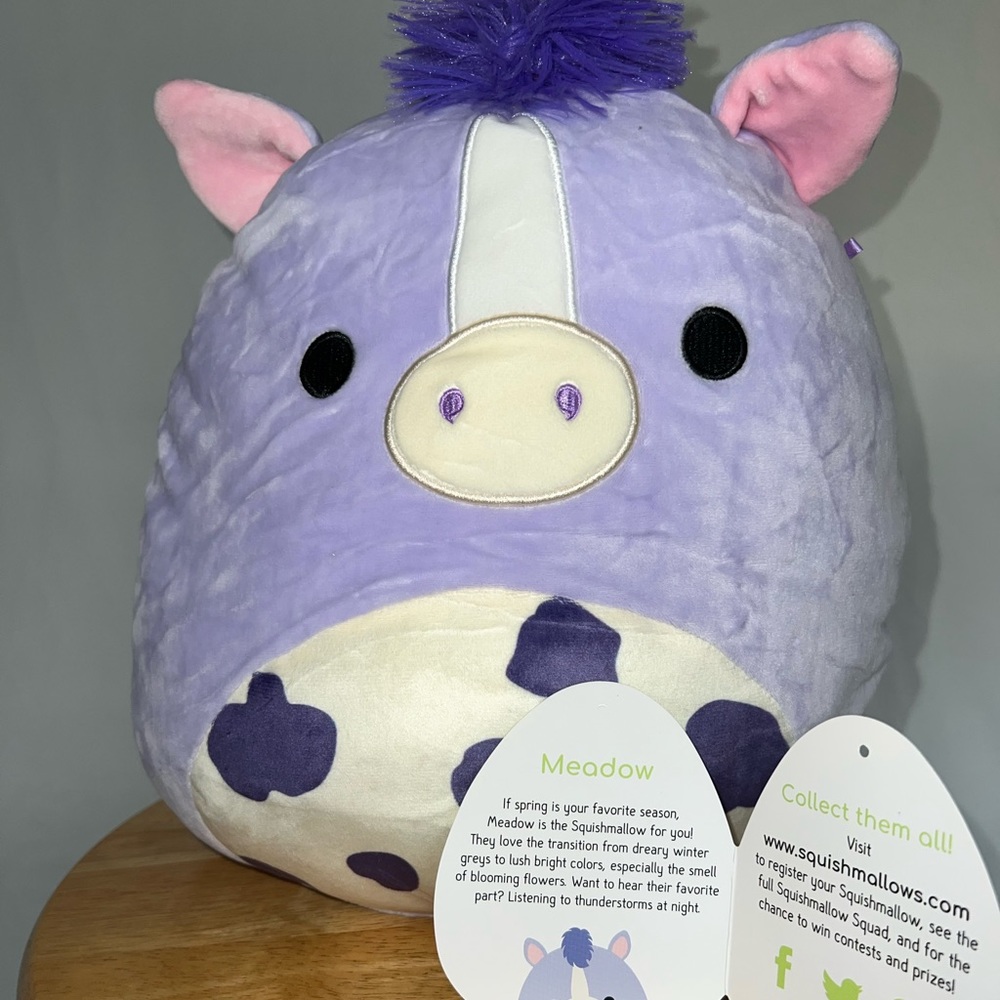 Squishmallow Meadow